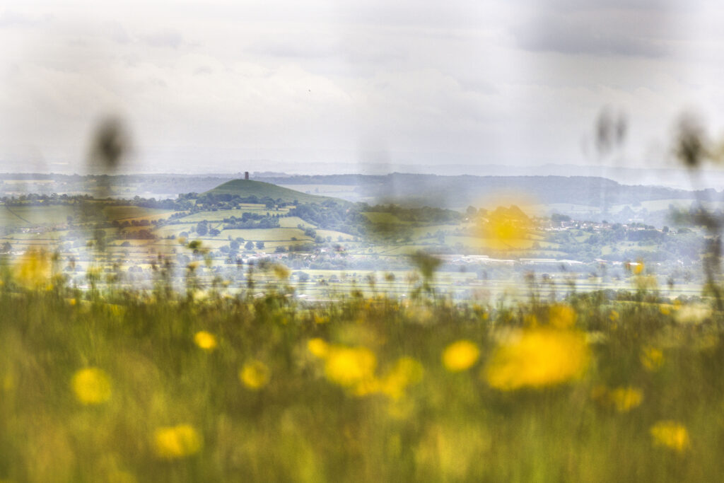 Photo of the Mendip Hills looking across a chalk and grassland across the Somerset Levels